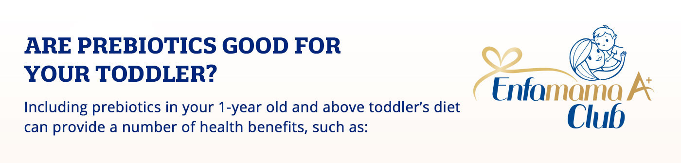 are prebiotics good for toddler